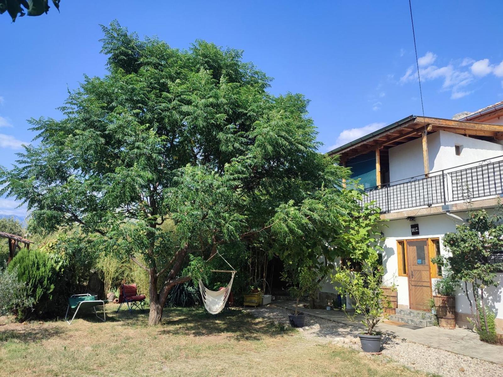 Camping Kromidovo 外观 照片
